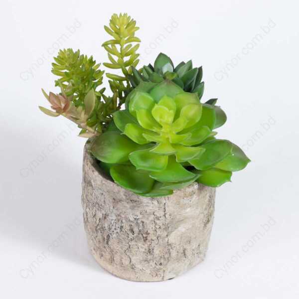Ultra Realistic Heavyweight Pot with Succulent and Cactus Arrangement