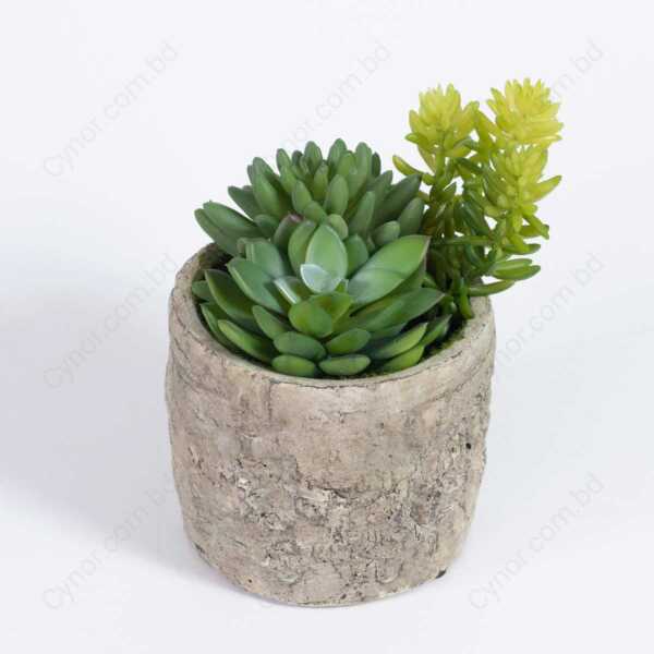 Ultra Realistic Heavyweight Pot with Succulent and Cactus Arrangement
