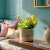 HD263-1-Realistic Artificial Succulent in Rustic Ceramic Pot Mini Tabletop Decor (1)