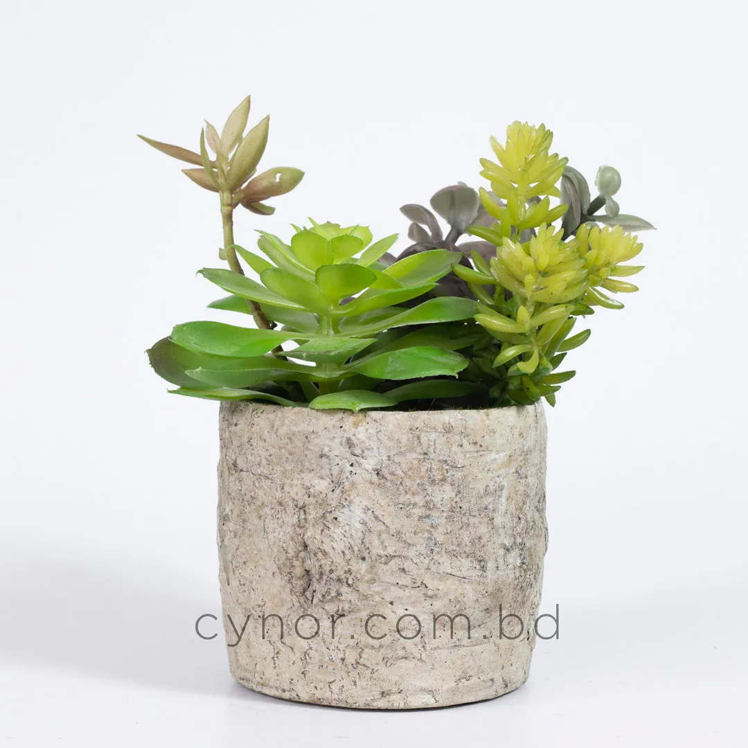 HD263-1-Realistic Artificial Succulent in Rustic Ceramic Pot Mini Tabletop Decor (2) HD263-1-Realistic Artificial Succulent in Rustic Ceramic Pot Mini Tabletop Decor (2)