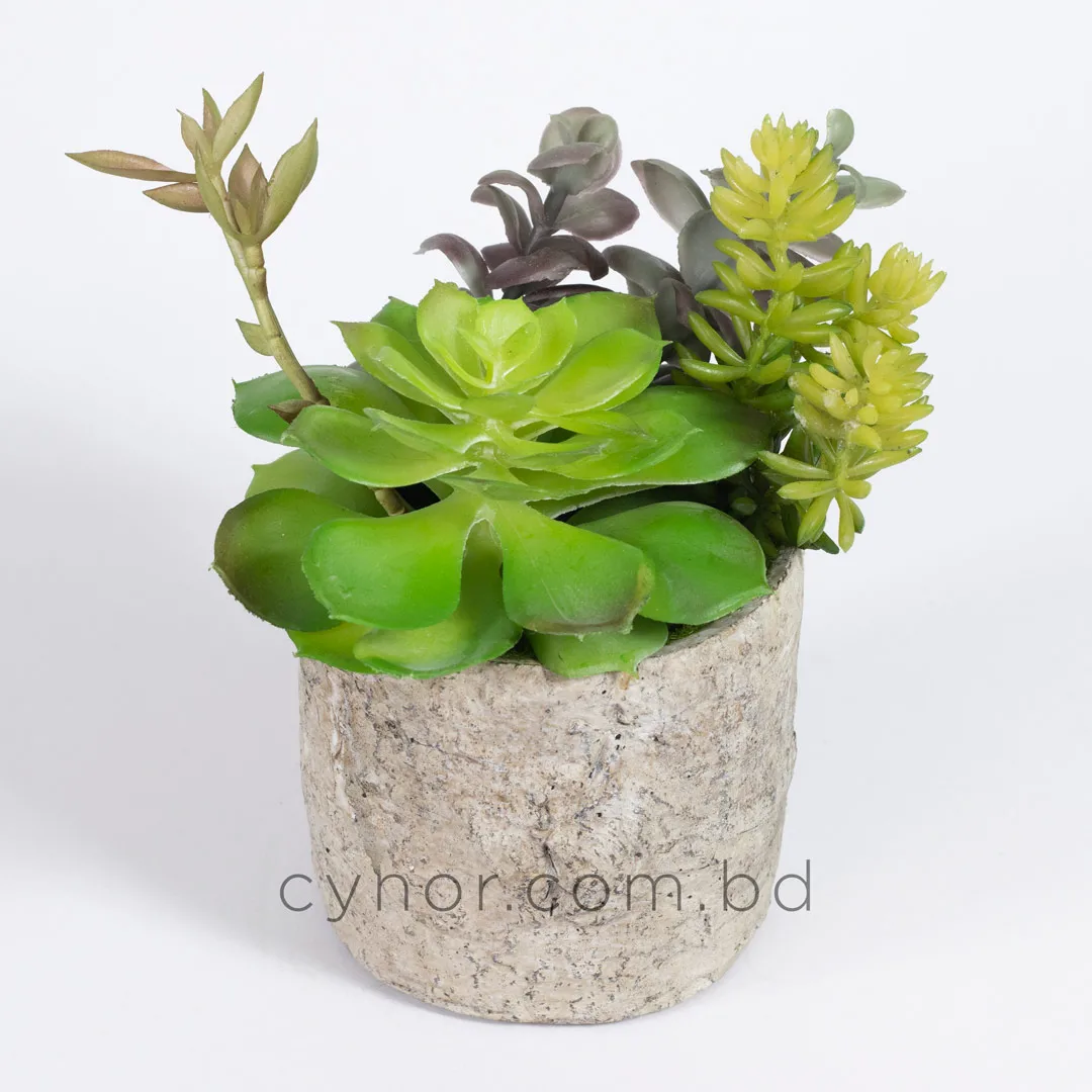 HD263-1-Realistic Artificial Succulent in Rustic Ceramic Pot Mini Tabletop Decor (3) HD263-1-Realistic Artificial Succulent in Rustic Ceramic Pot Mini Tabletop Decor (3)