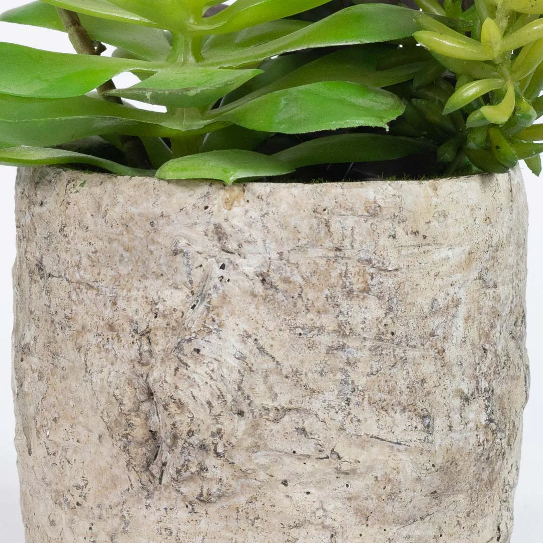 HD263-1-Realistic Artificial Succulent in Rustic Ceramic Pot Mini Tabletop Decor (4) HD263-1-Realistic Artificial Succulent in Rustic Ceramic Pot Mini Tabletop Decor (4)