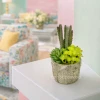 HD263-3-Realistic Artificial Succulent and Cactus in Rustic Ceramic Pot Mini Tabletop Decor (1)