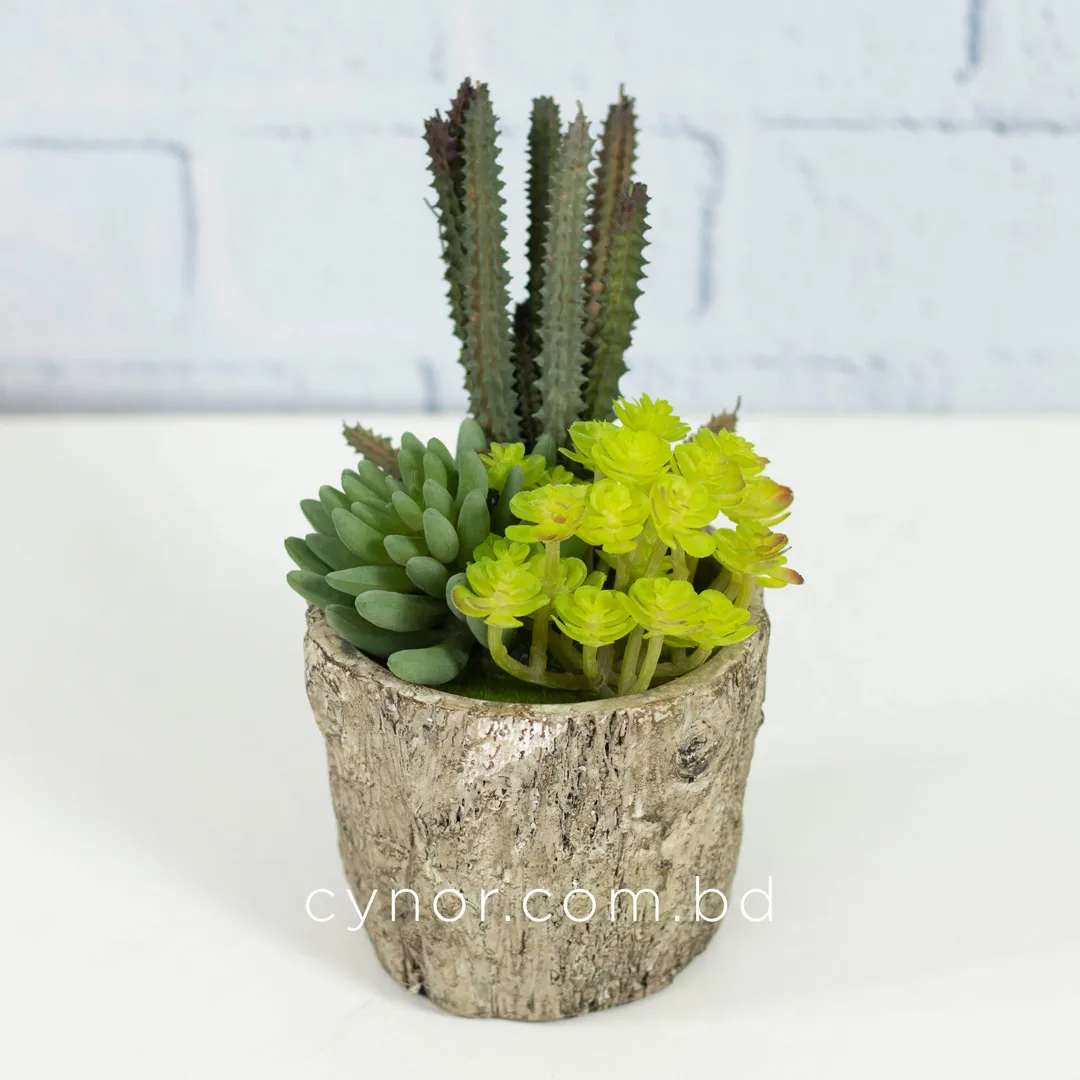HD263-3-Realistic Artificial Succulent and Cactus in Rustic Ceramic Pot Mini Tabletop Decor (3) HD263-3-Realistic Artificial Succulent and Cactus in Rustic Ceramic Pot Mini Tabletop Decor (3)