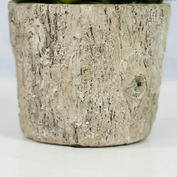HD263-3-Realistic Artificial Succulent and Cactus in Rustic Ceramic Pot Mini Tabletop Decor (4)