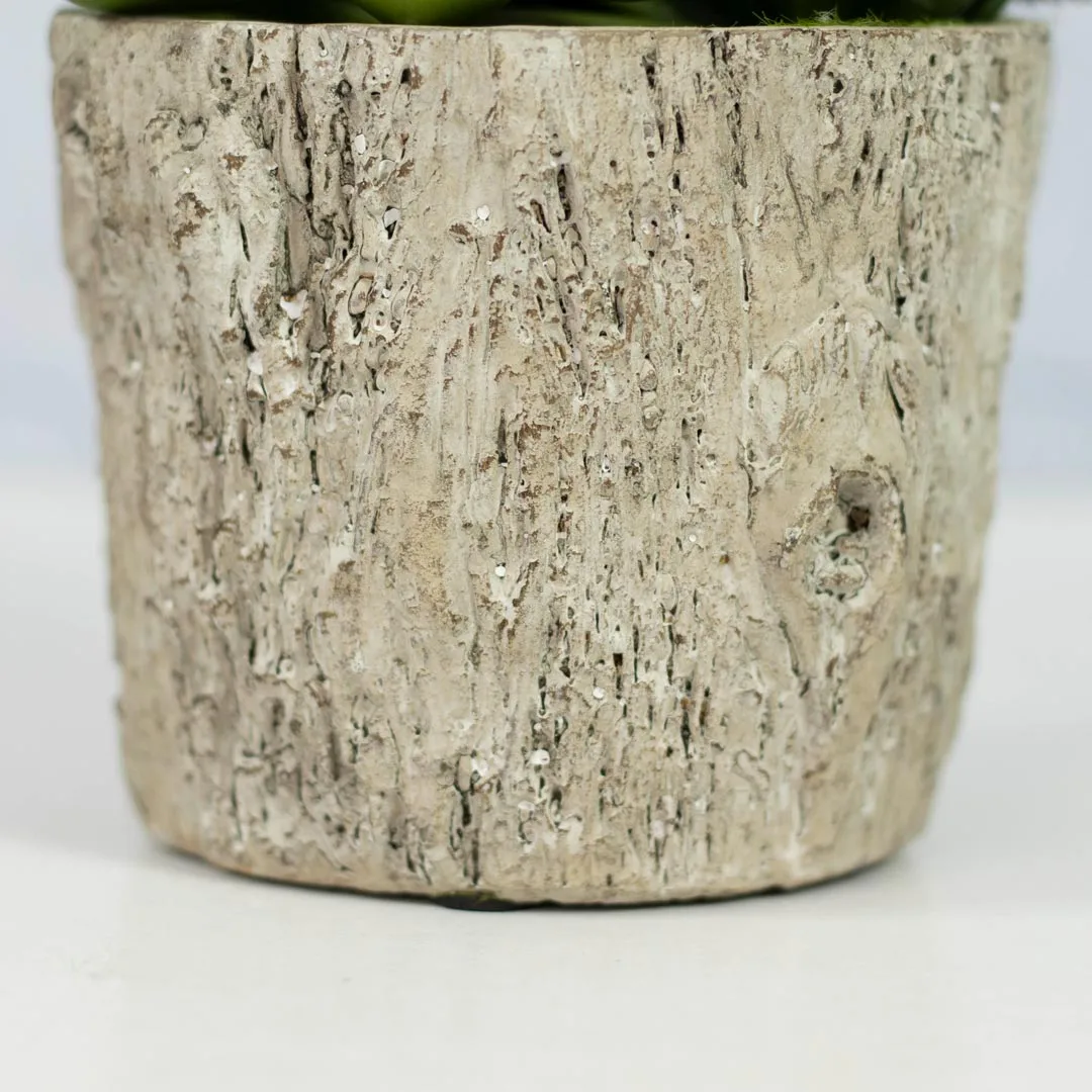 HD263-3-Realistic Artificial Succulent and Cactus in Rustic Ceramic Pot Mini Tabletop Decor (4) HD263-3-Realistic Artificial Succulent and Cactus in Rustic Ceramic Pot Mini Tabletop Decor (4)