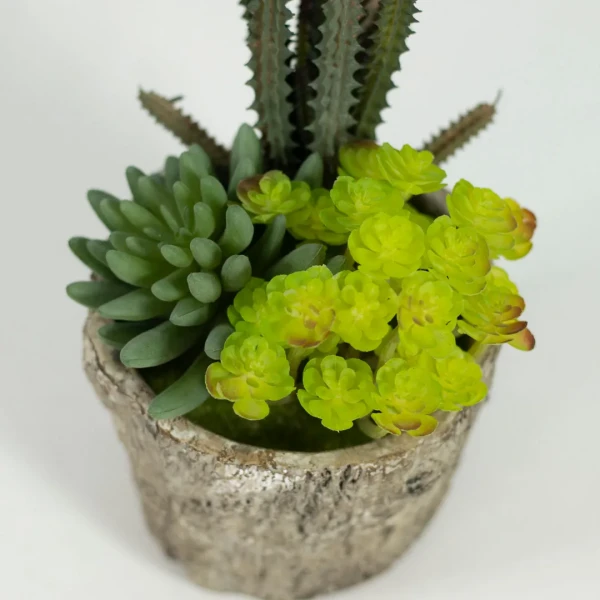 HD263-3-Realistic Artificial Succulent and Cactus in Rustic Ceramic Pot Mini Tabletop Decor (5)