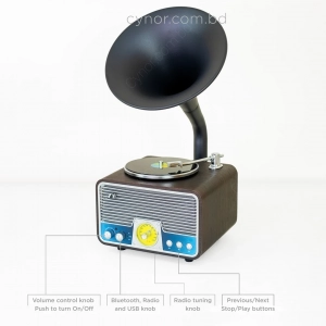 HD279-Luxury Vintage Gramophone Bluetooth Speaker and FM Radio with Spinning Disk (11)