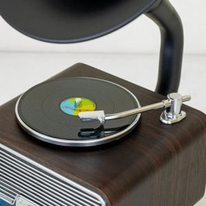 HD279-Luxury Vintage Gramophone Bluetooth Speaker and FM Radio with Spinning Disk (4)