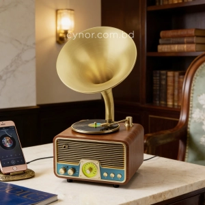 HD279-2-Luxury Antique Gramophone Style Rechargeable Bluetooth Speaker and Radio with Spinning Disk (2)