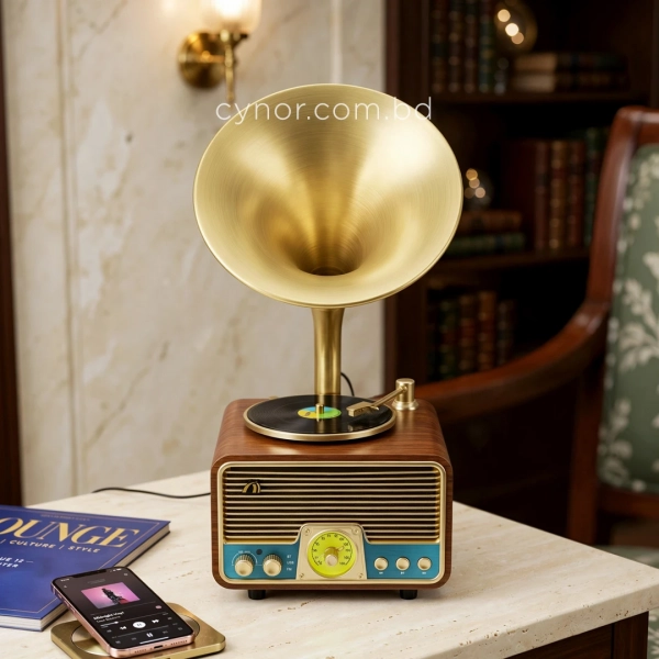 HD279-2-Luxury Antique Gramophone Style Rechargeable Bluetooth Speaker and Radio with Spinning Disk (3)