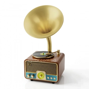 HD279-2-Luxury Antique Gramophone Style Rechargeable Bluetooth Speaker and Radio with Spinning Disk (5)