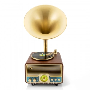 HD279-2-Luxury Antique Gramophone Style Rechargeable Bluetooth Speaker and Radio with Spinning Disk (6)