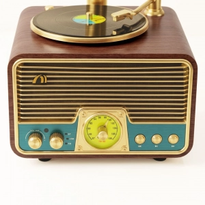 HD279-2-Luxury Antique Gramophone Style Rechargeable Bluetooth Speaker and Radio with Spinning Disk (7)