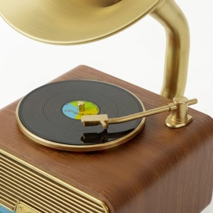 HD279-2-Luxury Antique Gramophone Style Rechargeable Bluetooth Speaker and Radio with Spinning Disk (8)