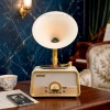HD279-3-Luxury Vintage Style Gramophone Rechargeable Bluetooth Speaker and Radio with Spinning Disk (1)