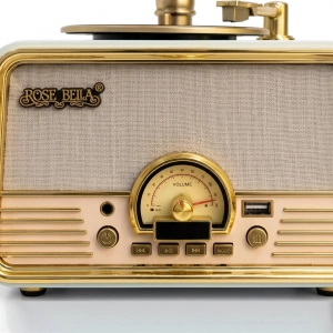 HD279-3-Luxury Vintage Style Gramophone Rechargeable Bluetooth Speaker and Radio with Spinning Disk (5)