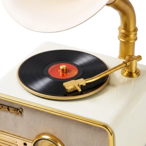 HD279-3-Luxury Vintage Style Gramophone Rechargeable Bluetooth Speaker and Radio with Spinning Disk (7)