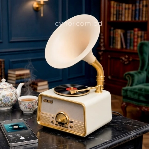 HD279-3-Luxury Vintage Style Gramophone Rechargeable Bluetooth Speaker and Radio with Spinning Disk (9)