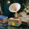 HD279-4-Luxury Vintage Style Gramophone Rechargeable Bluetooth Speaker and FM Radio with Spinning Disk (1)