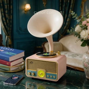 HD279-4-Luxury Vintage Style Gramophone Rechargeable Bluetooth Speaker and FM Radio with Spinning Disk (1)