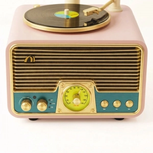 HD279-4-Luxury Vintage Style Gramophone Rechargeable Bluetooth Speaker and FM Radio with Spinning Disk (6)