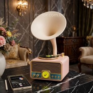 HD279-4-Luxury Vintage Style Gramophone Rechargeable Bluetooth Speaker and FM Radio with Spinning Disk (9)