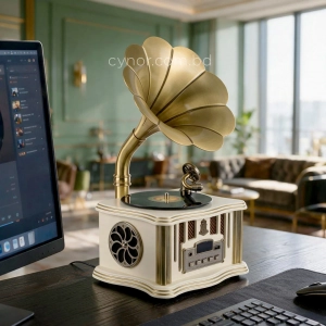 HD280-1-Luxury Antique Style Gramophone Bluetooth Speaker and FM Radio with Spinning Record (3)