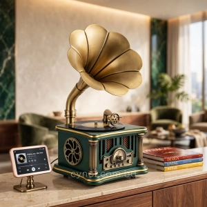 HD281-1-Luxury Vintage Gramophone Inspired Bluetooth Speaker and FM Radio with Spinning Record (3)