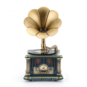 HD281-2-Luxury Vintage Gramophone Inspired Blue Bluetooth Speaker and FM Radio with Spinning Disk (5)