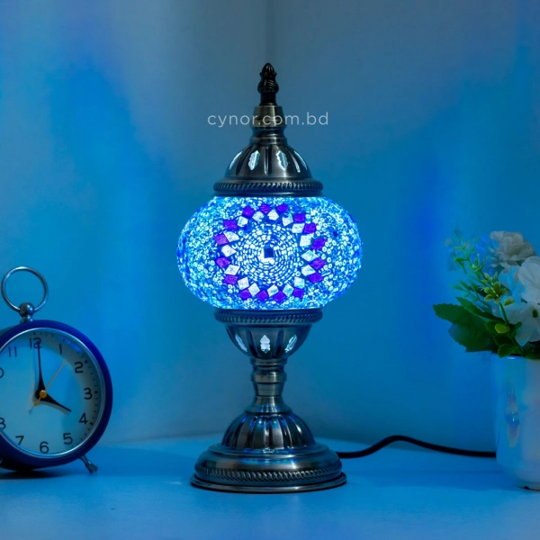 TL406-2-Blue and Purple Turkish Mosaic Lamp Mosaic Glass Globe Brass Metal Body (3)